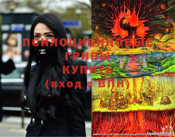MDMA Бородино