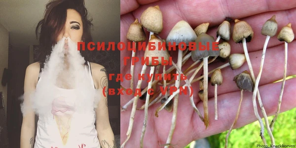тгк Бугульма