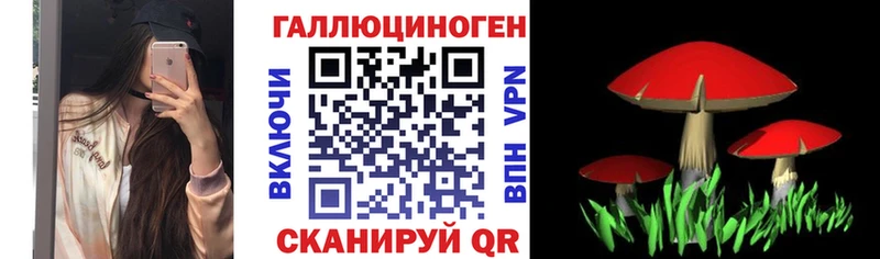 Псилоцибиновые грибы GOLDEN TEACHER  Новосокольники 